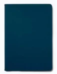 Heyday - Funda de gamuza sintética para iPad de 10,2", color celeste