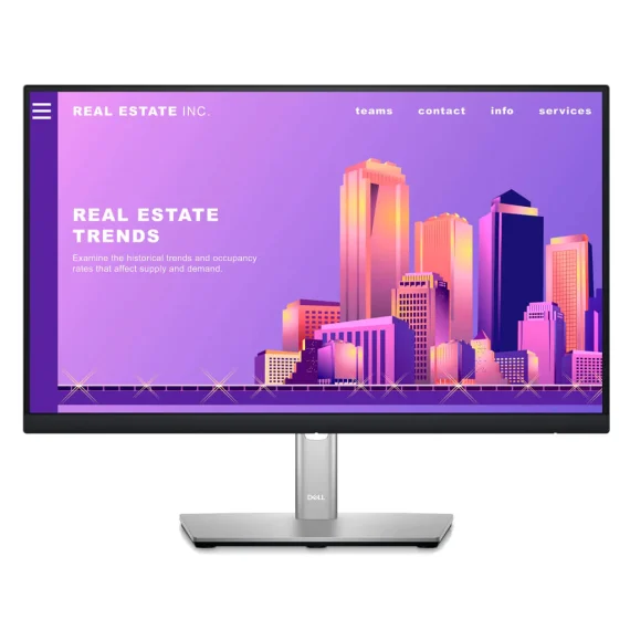 Monitor LED 22" (P2222H)